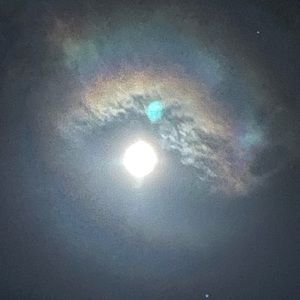 Meet your Posher, Jade